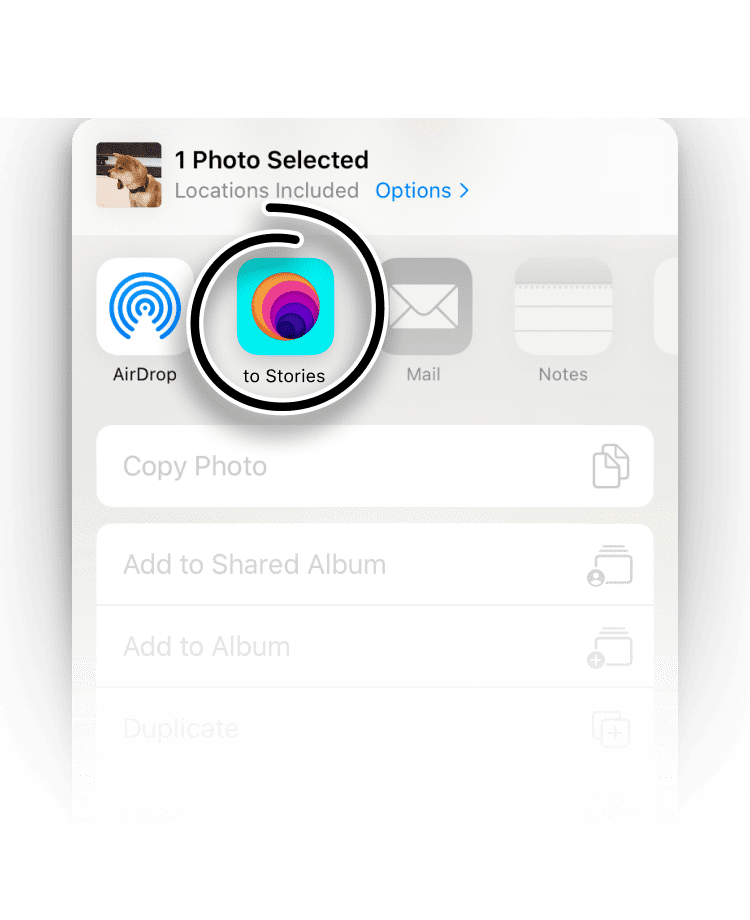 Setting up the to Stories Share Sheet shortcut on iPhone