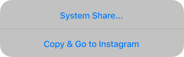 The Copy & Go to Instagram option in to Stories